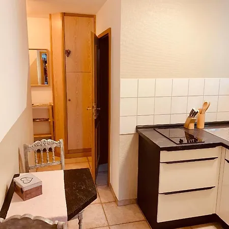 Maison A Colombages アパート ウィッサンブール